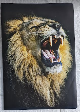 Caiet A4 studentesc dictando 60 file