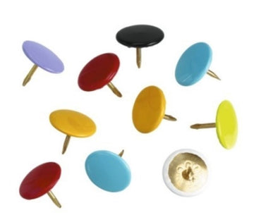 Pioneze color
