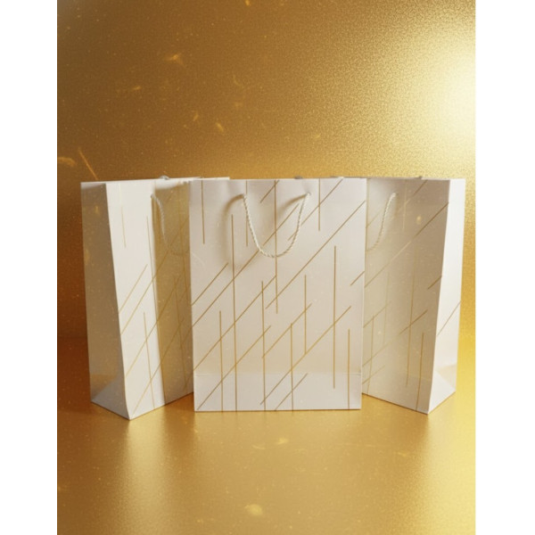 Pungi cadou cartonate albe mijlocii