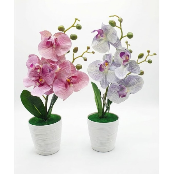 Ghiveci cu flori orhidee