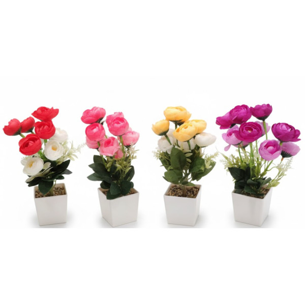 Ghiveci flori bujori