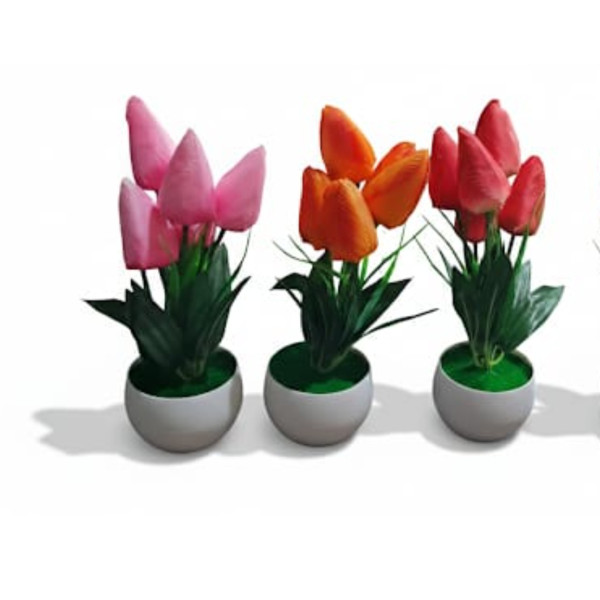 Ghiveci  flori lalele