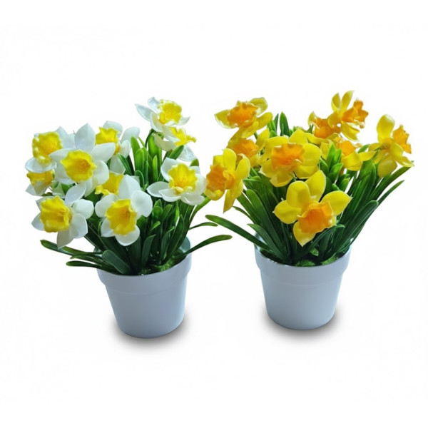 Ghiveci cu flori narcise