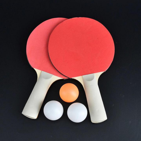 Palete ping-pong